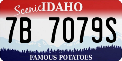 ID license plate 7B7079S