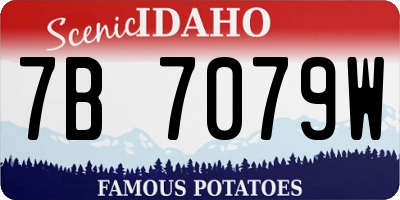 ID license plate 7B7079W