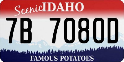 ID license plate 7B7080D