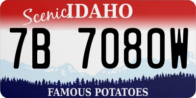 ID license plate 7B7080W