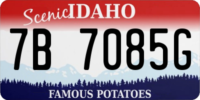 ID license plate 7B7085G