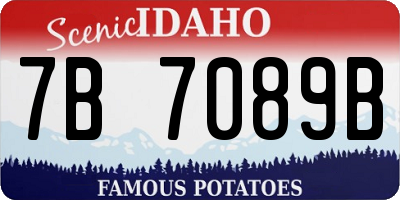 ID license plate 7B7089B