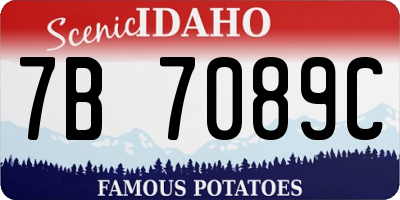 ID license plate 7B7089C
