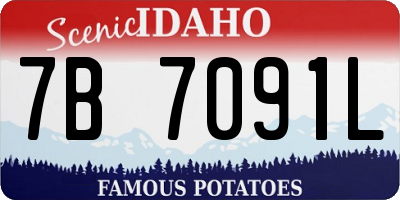 ID license plate 7B7091L