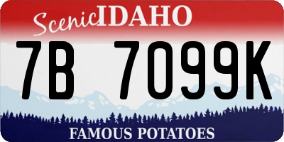ID license plate 7B7099K