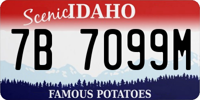 ID license plate 7B7099M