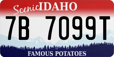 ID license plate 7B7099T