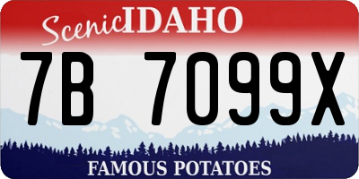 ID license plate 7B7099X