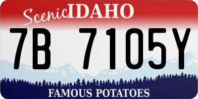 ID license plate 7B7105Y