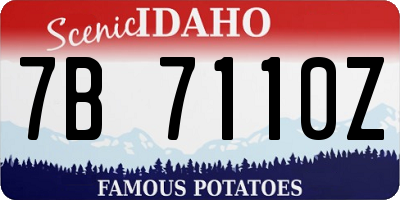 ID license plate 7B7110Z