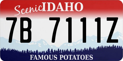ID license plate 7B7111Z
