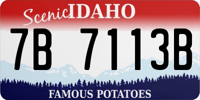 ID license plate 7B7113B