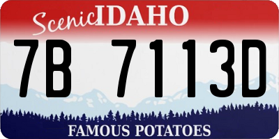 ID license plate 7B7113D