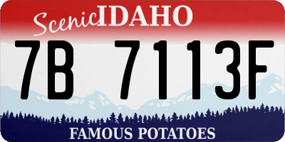 ID license plate 7B7113F