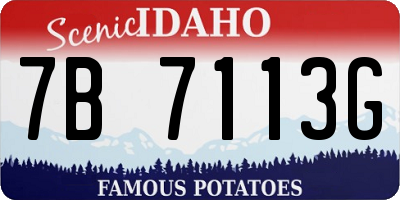 ID license plate 7B7113G