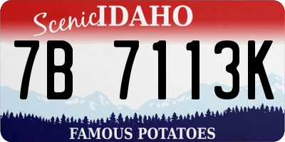 ID license plate 7B7113K