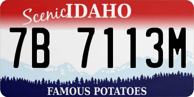 ID license plate 7B7113M