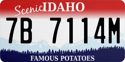 ID license plate 7B7114M