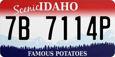ID license plate 7B7114P