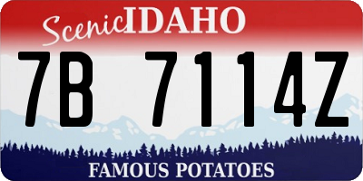 ID license plate 7B7114Z