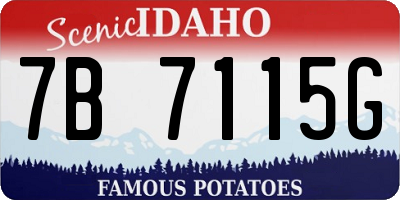 ID license plate 7B7115G
