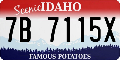 ID license plate 7B7115X