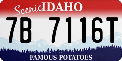 ID license plate 7B7116T