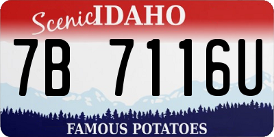 ID license plate 7B7116U