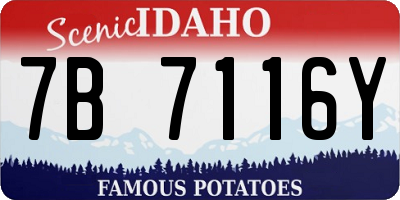 ID license plate 7B7116Y
