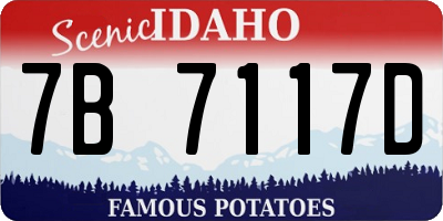 ID license plate 7B7117D