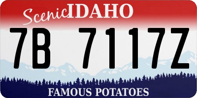 ID license plate 7B7117Z