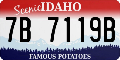 ID license plate 7B7119B