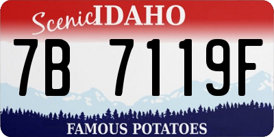 ID license plate 7B7119F