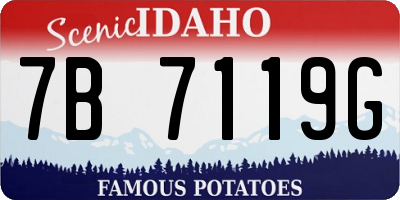 ID license plate 7B7119G