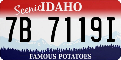 ID license plate 7B7119I