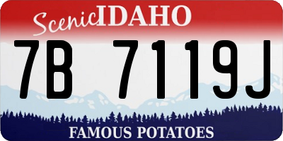 ID license plate 7B7119J