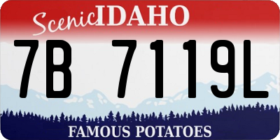 ID license plate 7B7119L