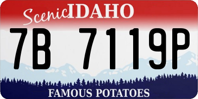 ID license plate 7B7119P