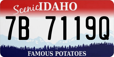 ID license plate 7B7119Q
