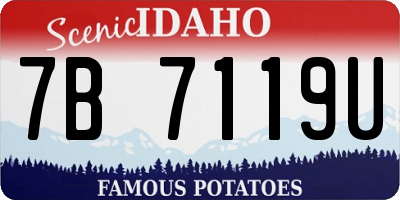 ID license plate 7B7119U