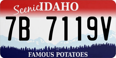 ID license plate 7B7119V