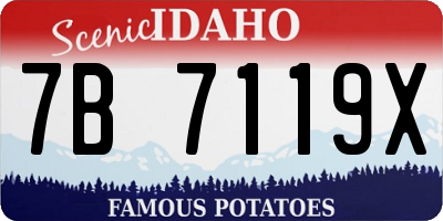 ID license plate 7B7119X