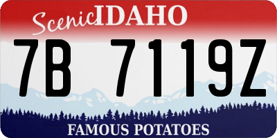 ID license plate 7B7119Z