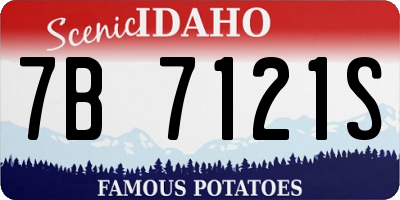 ID license plate 7B7121S