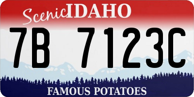 ID license plate 7B7123C
