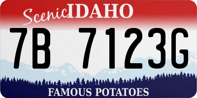 ID license plate 7B7123G