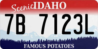 ID license plate 7B7123L