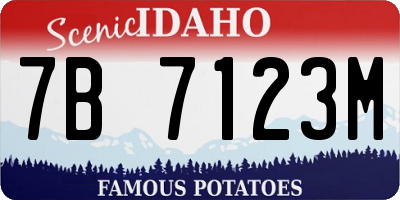ID license plate 7B7123M