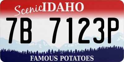 ID license plate 7B7123P