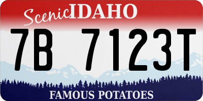 ID license plate 7B7123T